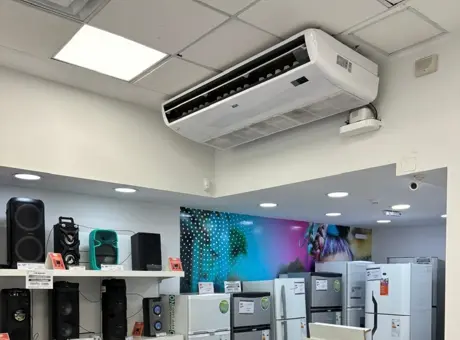 electricistas